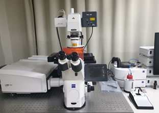 Confocal laser microscope